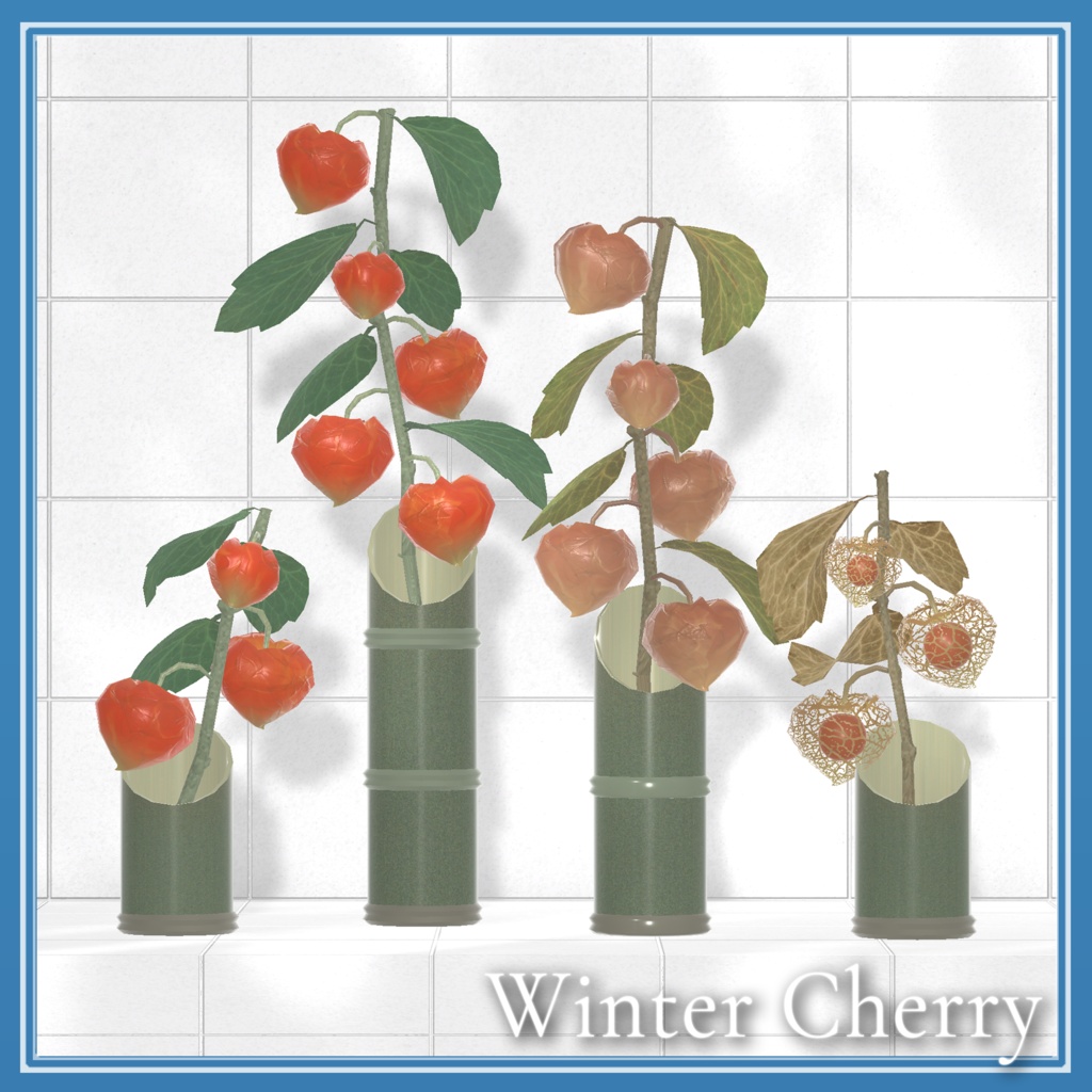 Winter Cherry