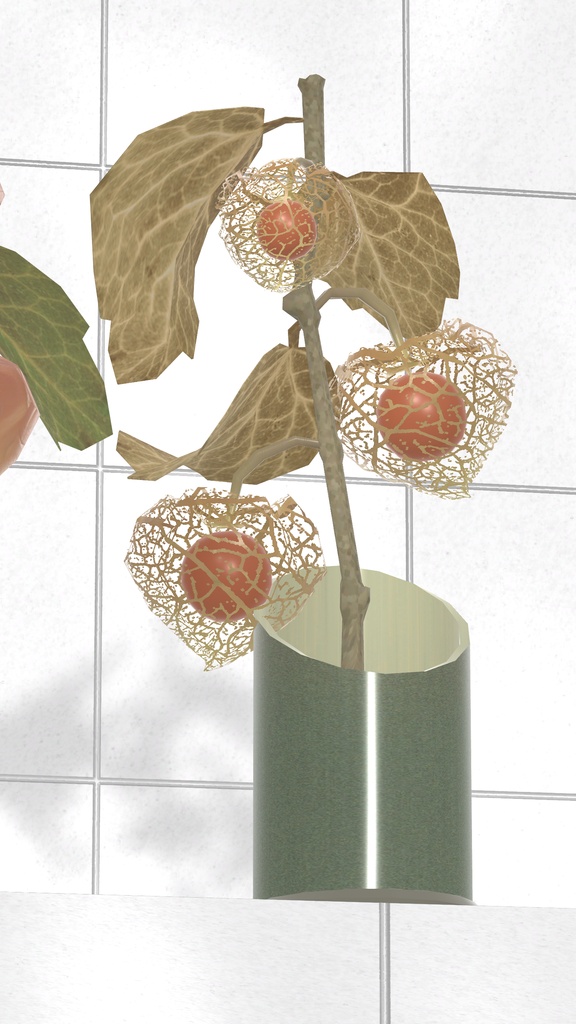 Winter Cherry