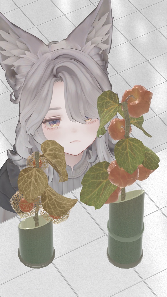 Winter Cherry