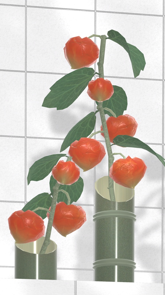 Winter Cherry