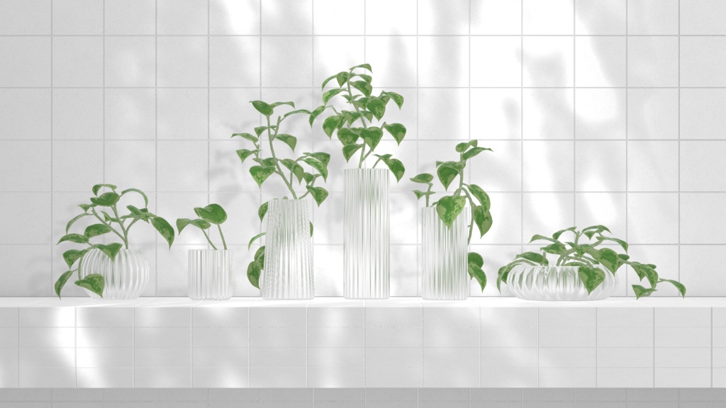 Pothos