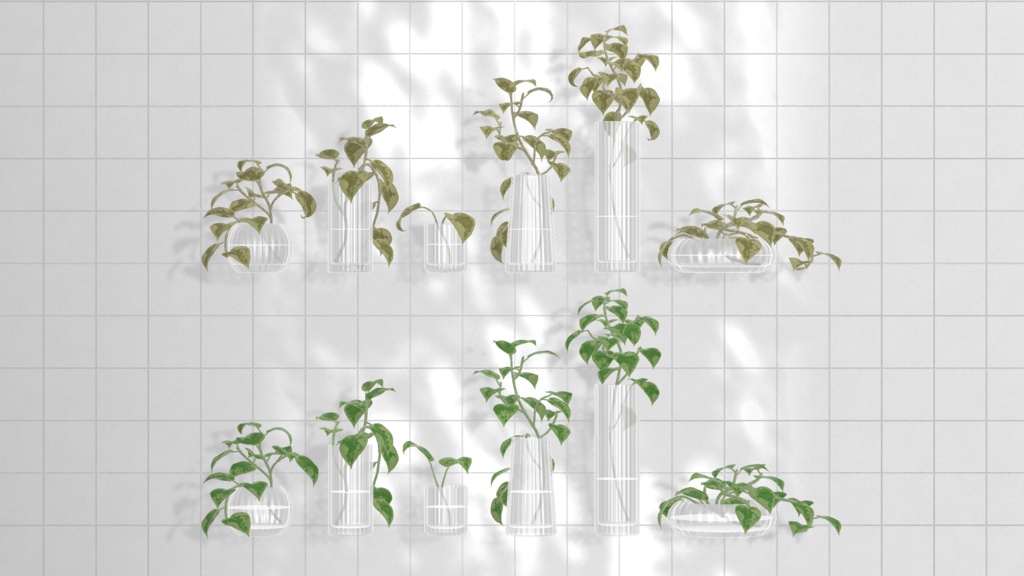 Pothos