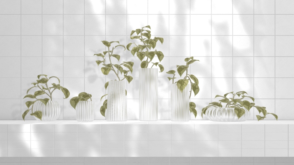 Pothos