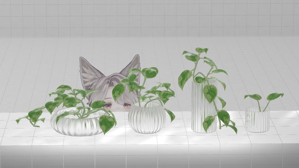 Pothos