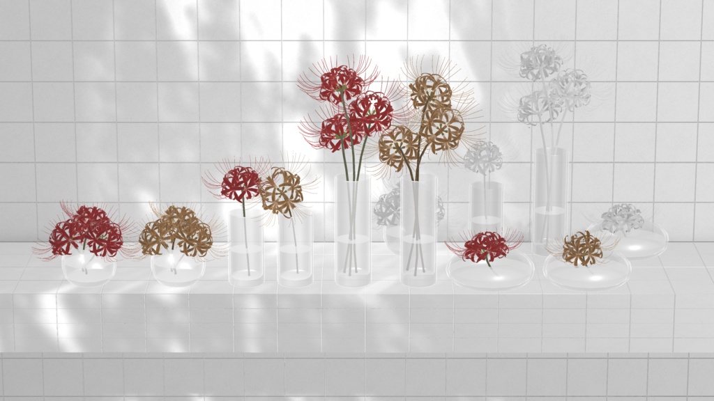 Lycoris
