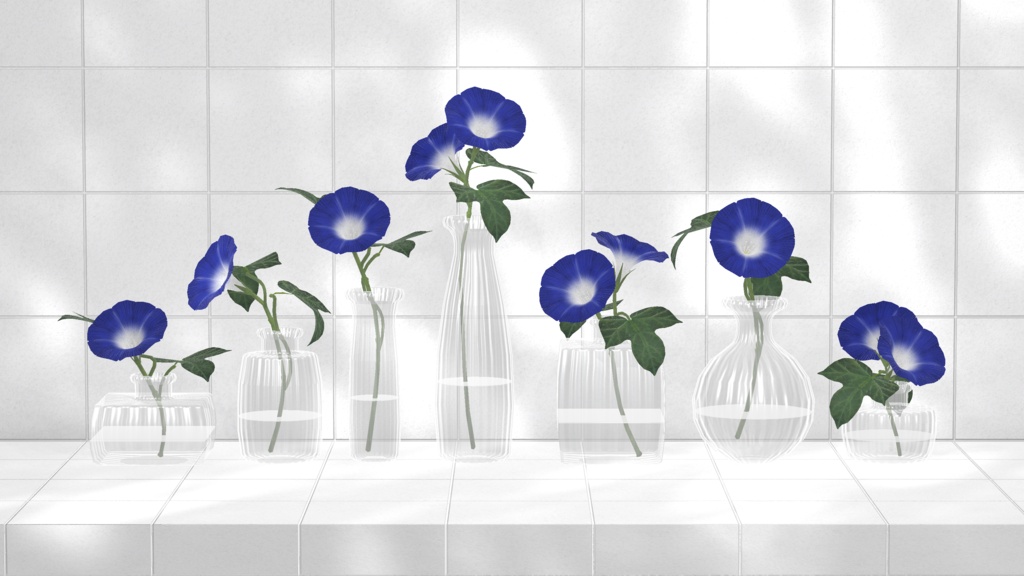 Morning Glory