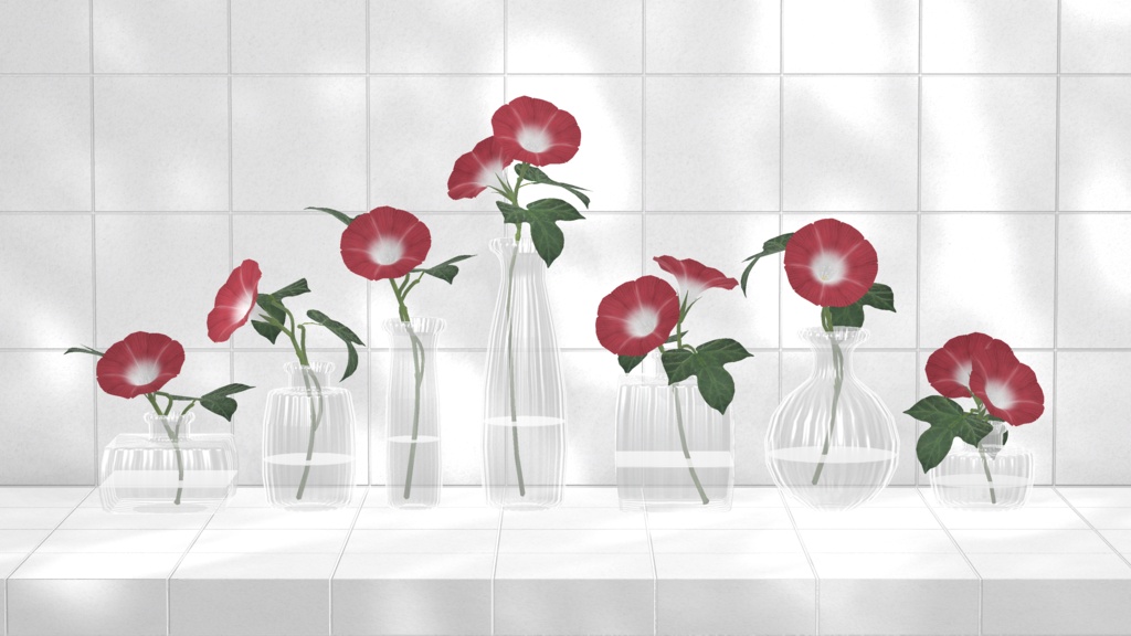 Morning Glory