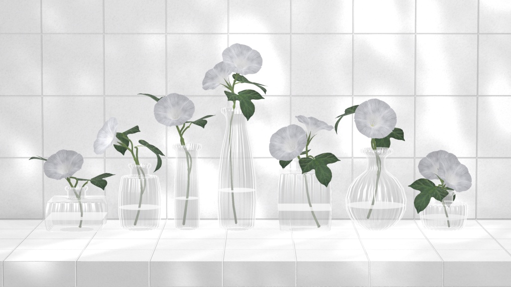 Morning Glory