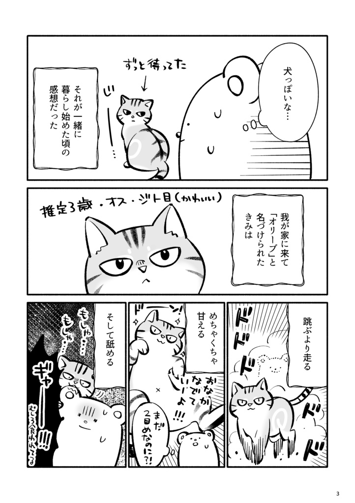 明日もしきみが消えるなら【12/31まで】