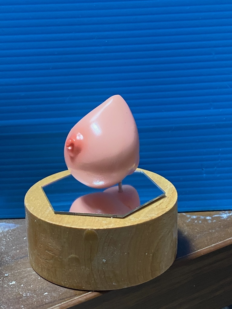 ぱいドロ 女性胸部塗装練習用キット