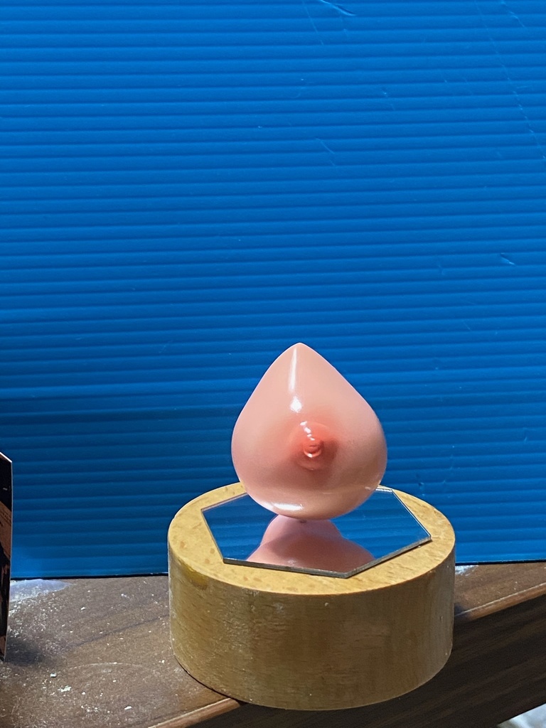 ぱいドロ 女性胸部塗装練習用キット