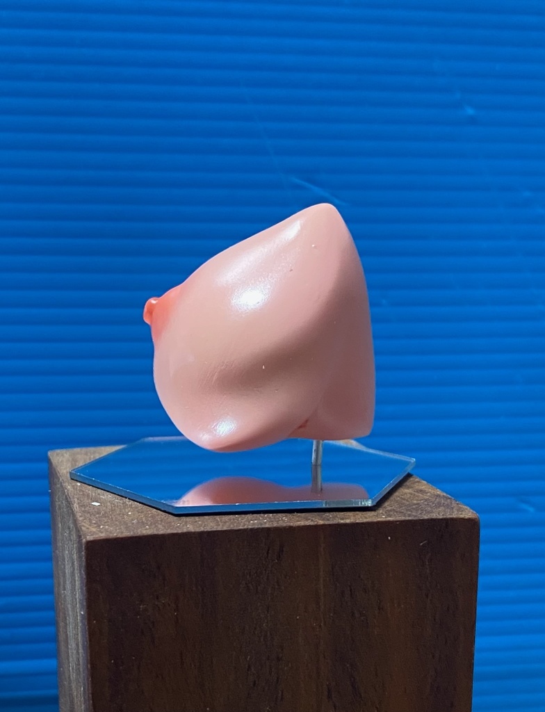 ぱいドロ 女性胸部塗装練習用キット