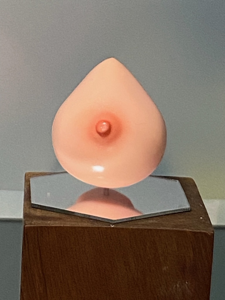 ぱいドロ 女性胸部塗装練習用キット