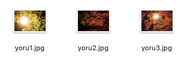 【無料】夜紅葉・花写真フリー背景素材