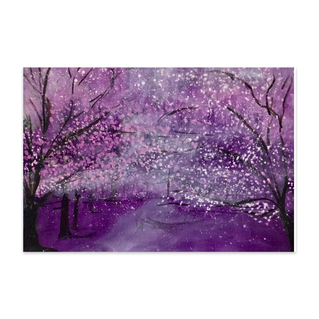 札幌　農試公園の桜　