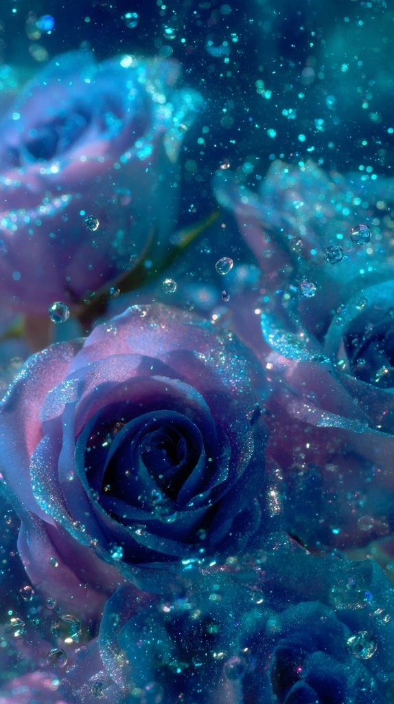 青い薔薇