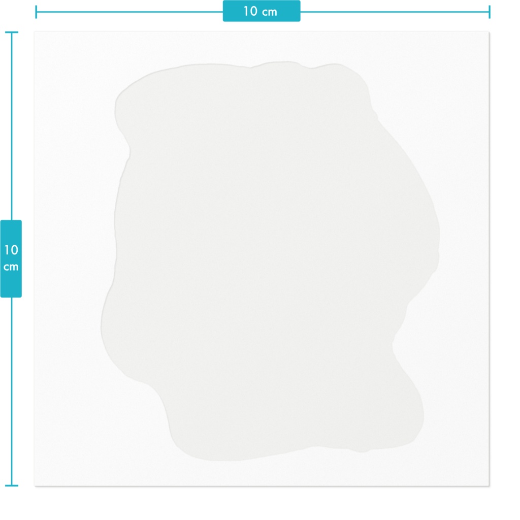 あめふらしありむらステッカー|有村蓮