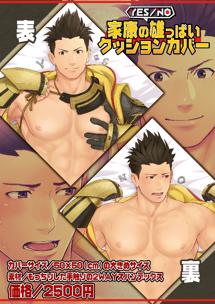 家康の雄っぱいクッションカバー