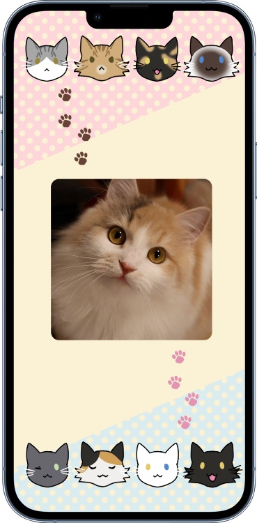 【スマホ用壁紙】猫