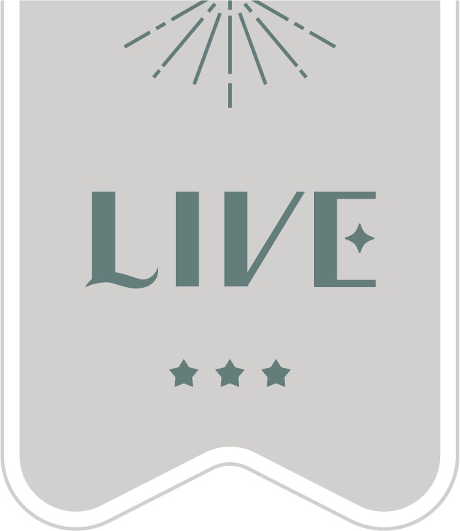 レトロなLIVEアイコン