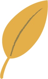 秋モチーフのイラスト♡植物