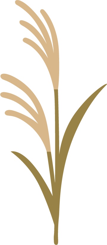 秋モチーフのイラスト♡植物