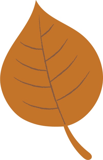 秋モチーフのイラスト♡植物