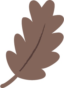 秋モチーフのイラスト♡植物