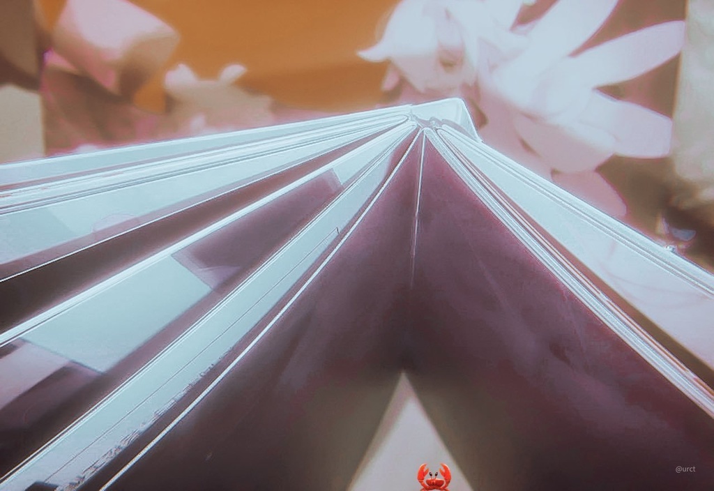 Answer(中文版)
