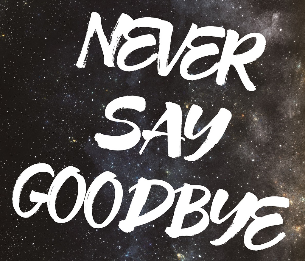 NEVER SAY GOODBYE