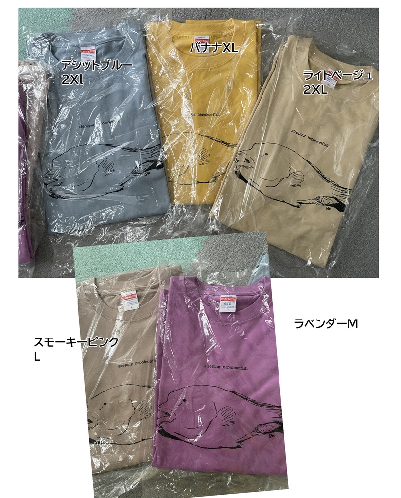 スリーピングナポレオンTシャツ(受注追加)