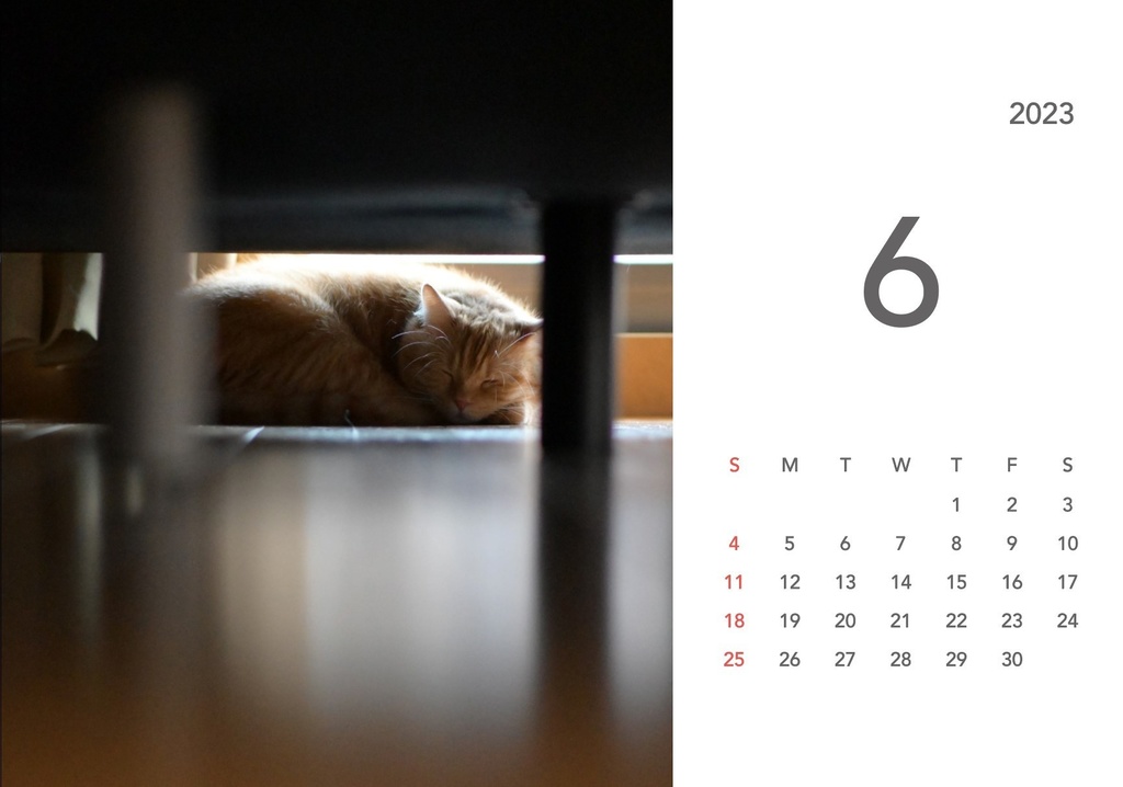 ぽんちゃんカレンダー2023