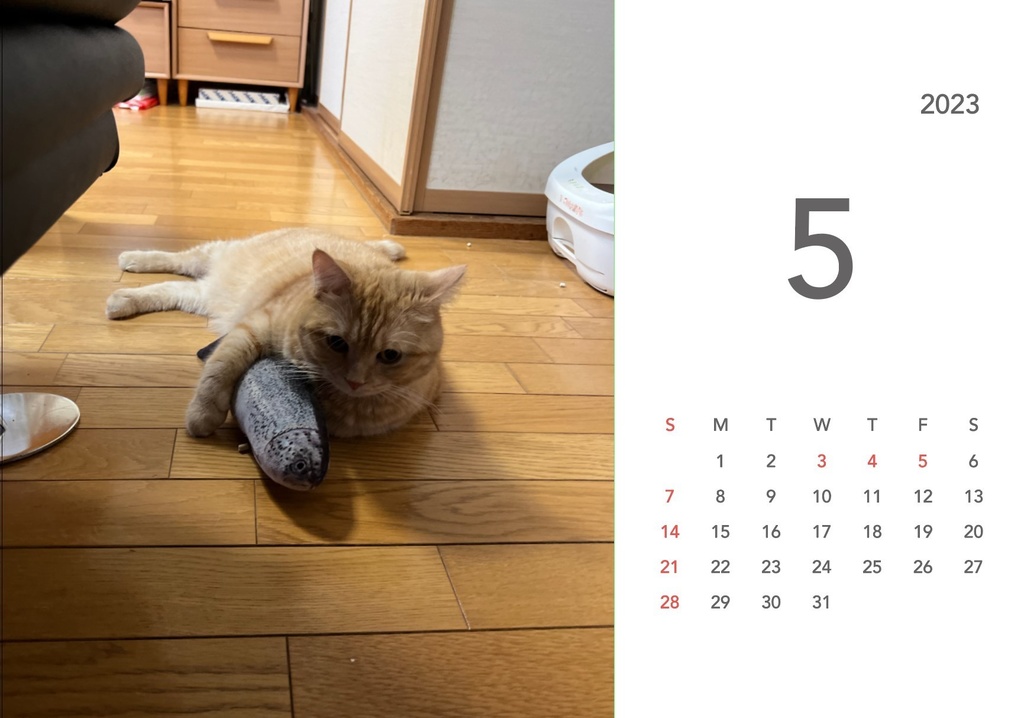 ぽんちゃんカレンダー2023