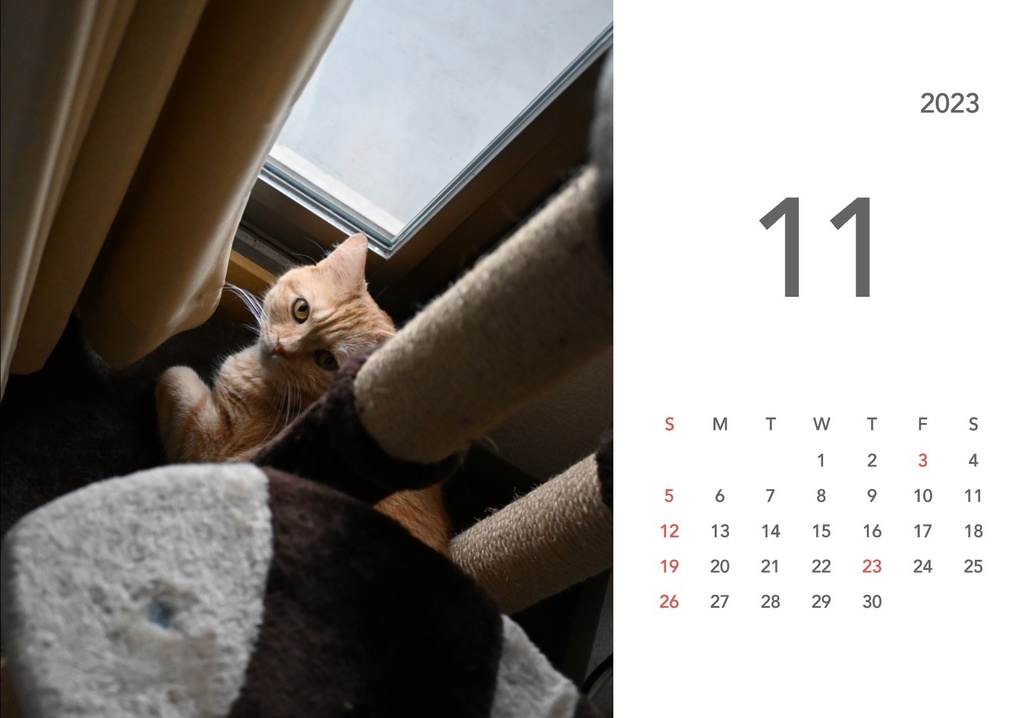 ぽんちゃんカレンダー2023