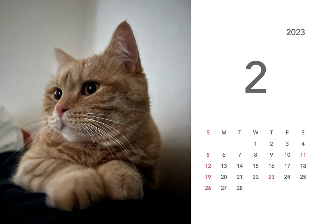 ぽんちゃんカレンダー2023