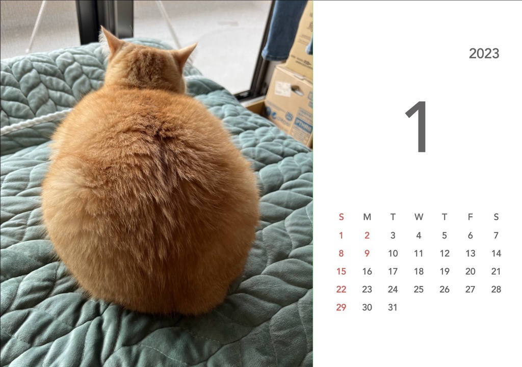 ぽんちゃんカレンダー2023