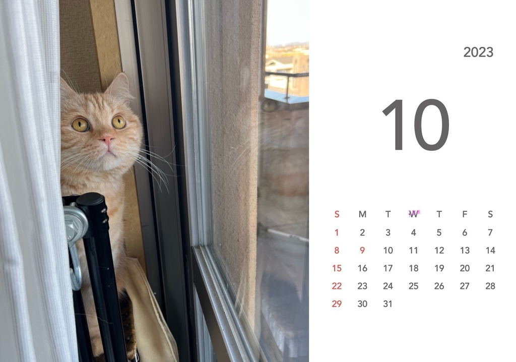 ぽんちゃんカレンダー2023