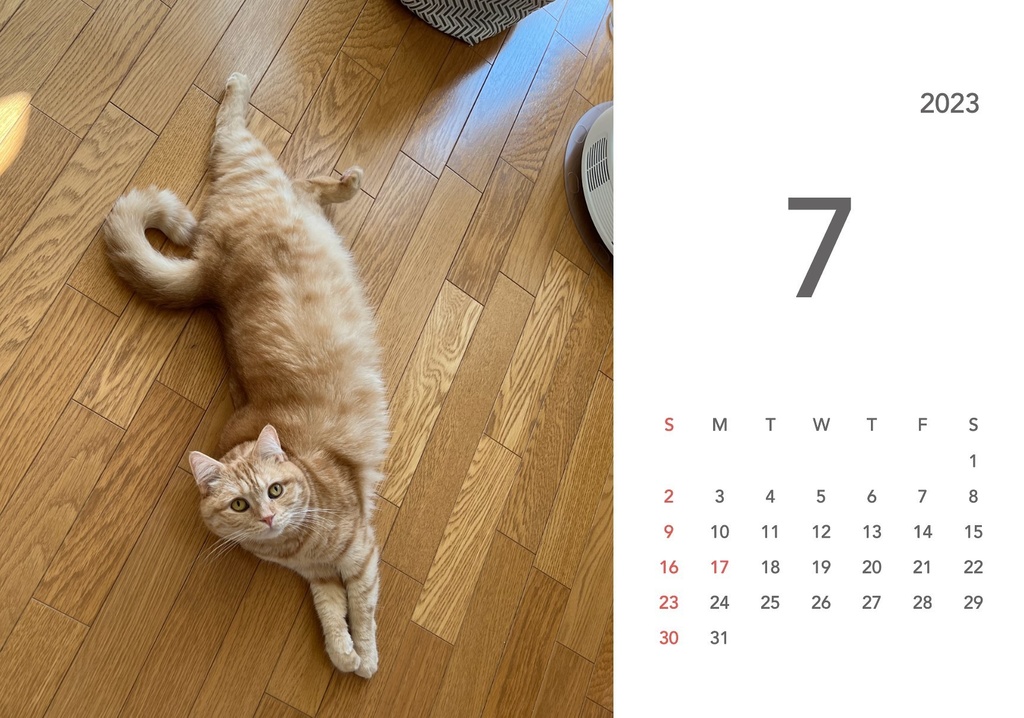 ぽんちゃんカレンダー2023