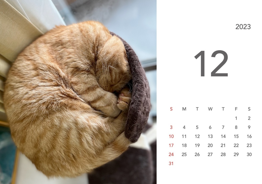 ぽんちゃんカレンダー2023