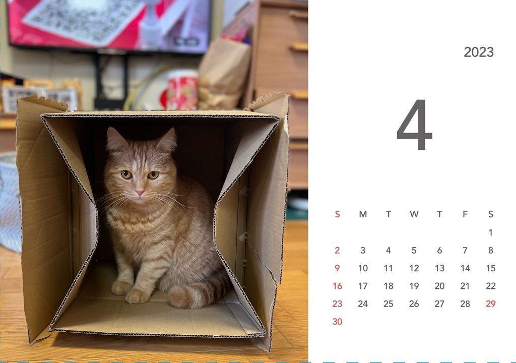 ぽんちゃんカレンダー2023