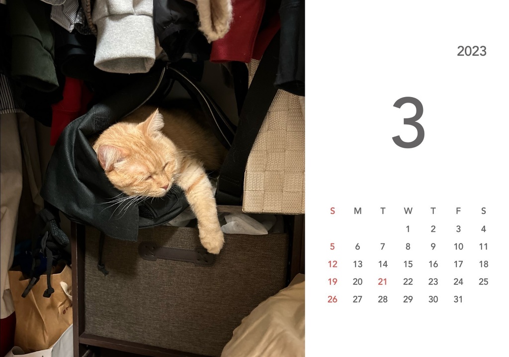 ぽんちゃんカレンダー2023