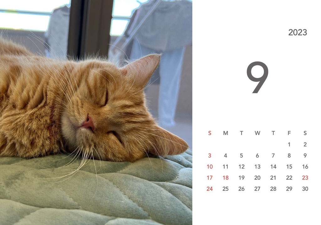 ぽんちゃんカレンダー2023