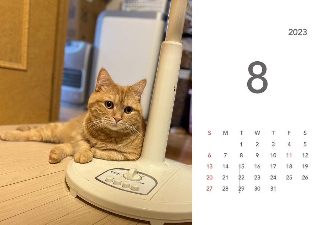 ぽんちゃんカレンダー2023