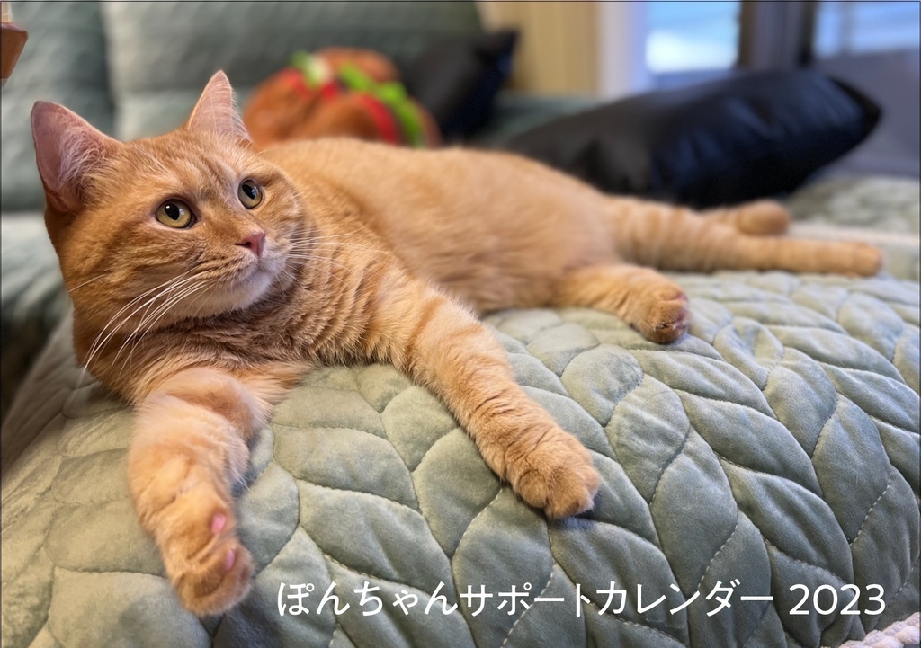 ぽんちゃんカレンダー2023