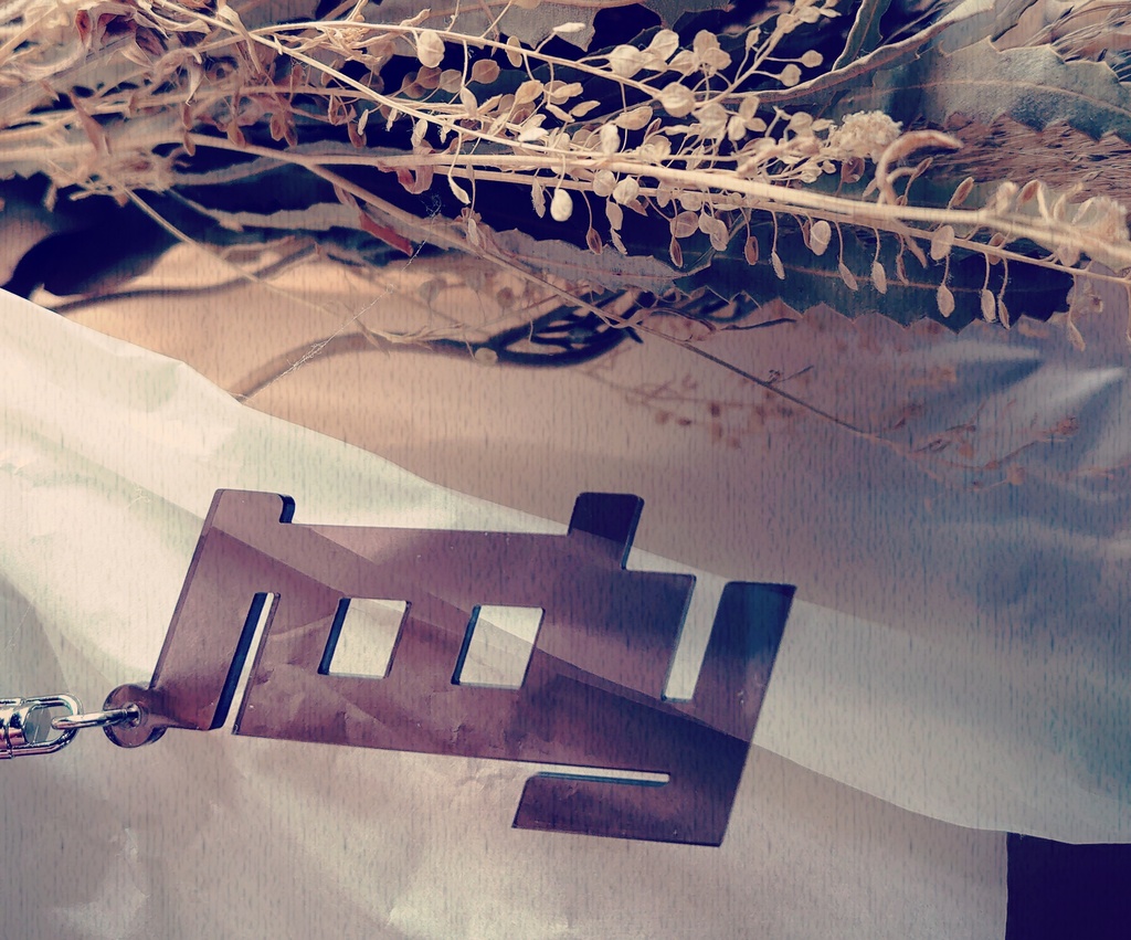 ロディイメージアクキー【再販】