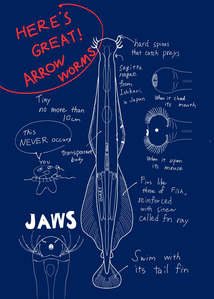 The 1st book on the earth about my gijinka OCs of extinct chaetognaths_English translation(ebook version)