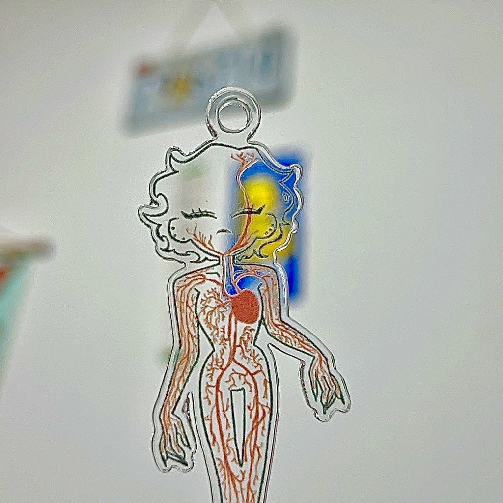 地獄ちゃん・標本アクリルパック(解剖済・2枚セット)