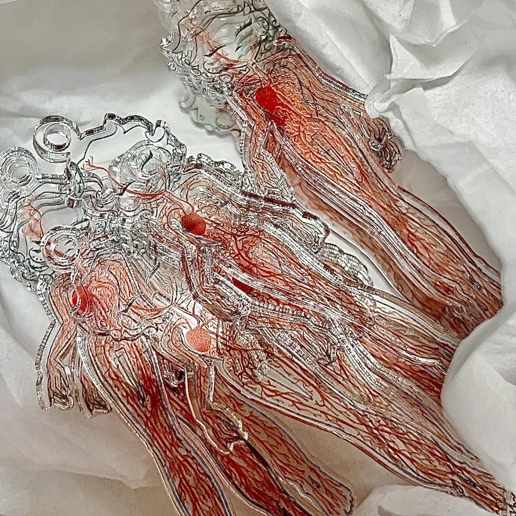 地獄ちゃん・標本アクリルパック(解剖済・2枚セット)