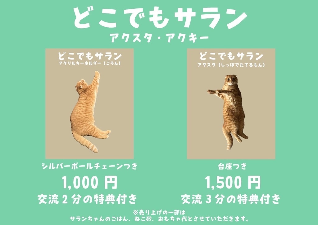 【アクリルキーホルダー】どこでもサラン アクキー(ごろん)