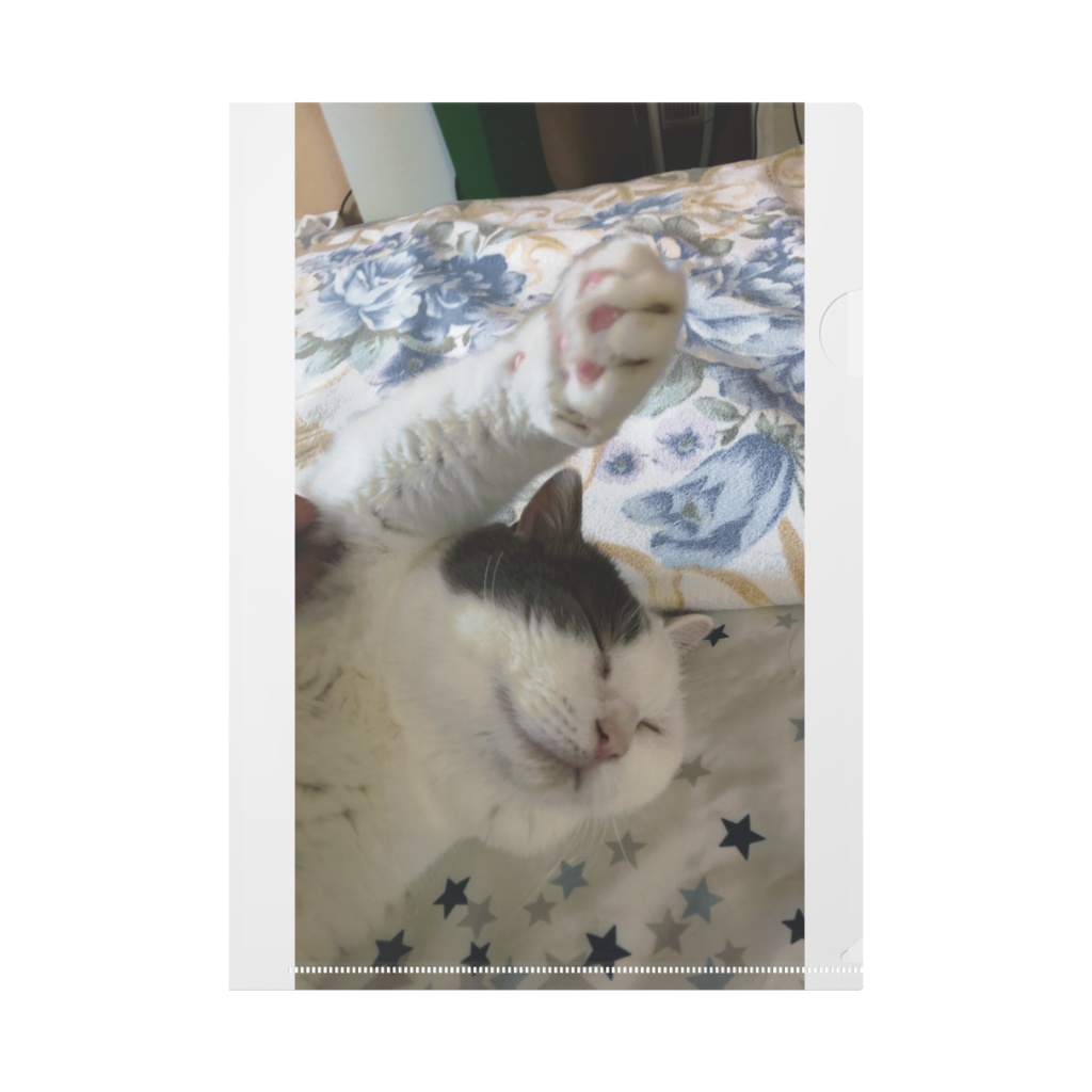 パンダ猫のクリアファイル